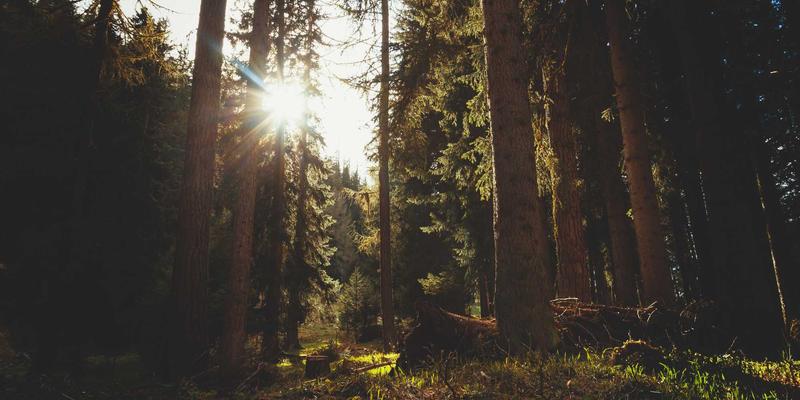 北京汇隆：以战略联盟构建机械制造新生态，赋能工业解决方案升级