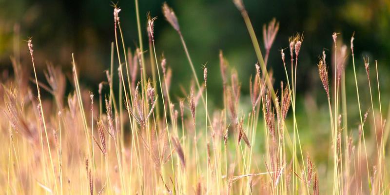 北京汇隆：精密零部件如何成为半导体设备制造的“隐形脊梁”？